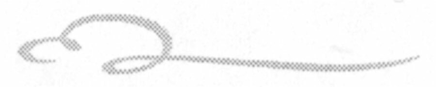 43269-Service File.jpg