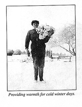 41988-Thumbnail Image.jpg
