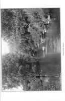 ilives:145964-00016-p_12.jpg