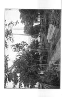 ilives:145964-00041-p_37.jpg