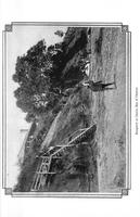 ilives:145964-00124-p_120.jpg