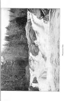 ilives:145964-00166-p_162.jpg
