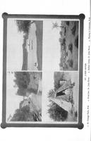 ilives:145964-00193-p_189.jpg
