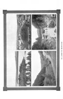 ilives:145964-00199-p_195.jpg