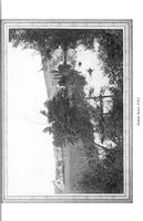 ilives:145964-00212-p_208.jpg