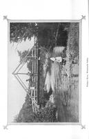 ilives:145964-00239-p_235.jpg