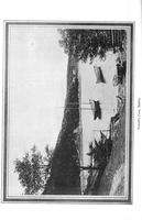 ilives:145964-00253-p_249.jpg
