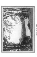 ilives:145964-00264-p_260.jpg