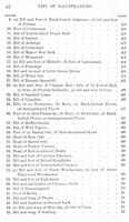ilives:147526-00023-f_24.jpg