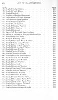 ilives:147526-00025-f_26.jpg