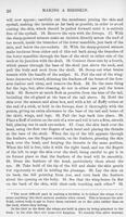 ilives:147526-00051-p_27.jpg
