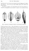 ilives:147526-00059-p_35.jpg