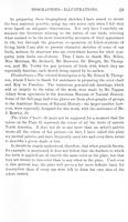 ilives:147526-00070-p_40.jpg