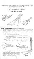 ilives:147526-00072-p_42.jpg