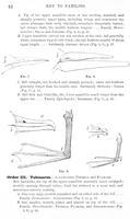 ilives:147526-00073-p_43.jpg