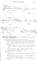 ilives:147526-00074-p_44.jpg