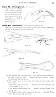 ilives:147526-00076-p_46.jpg