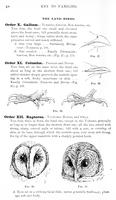 ilives:147526-00079-p_49.jpg