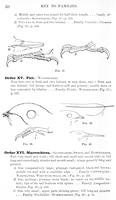 ilives:147526-00081-p_51.jpg