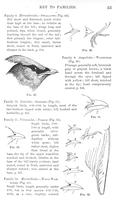 ilives:147526-00084-p_54.jpg