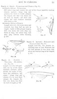 ilives:147526-00086-p_56.jpg