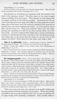 ilives:147526-00092-p_62.jpg