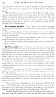 ilives:147526-00093-p_63.jpg
