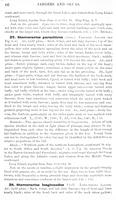 ilives:147526-00097-p_67.jpg