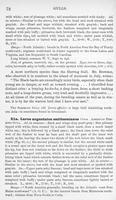 ilives:147526-00103-p_73.jpg