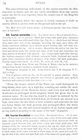 ilives:147526-00105-p_75.jpg