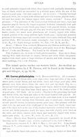 ilives:147526-00106-p_76.jpg
