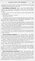 ilives:147526-00120-p_90.jpg