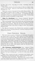 ilives:147526-00128-p_96.jpg