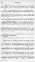 ilives:147526-00129-p_97.jpg
