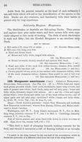 ilives:147526-00131-p_99.jpg