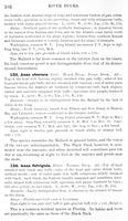 ilives:147526-00135-p_103.jpg
