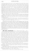 ilives:147526-00137-p_105.jpg