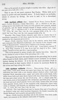 ilives:147526-00145-p_113.jpg
