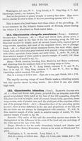 ilives:147526-00146-p_114.jpg