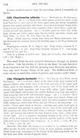 ilives:147526-00147-p_115.jpg