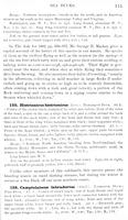 ilives:147526-00148-p_116.jpg