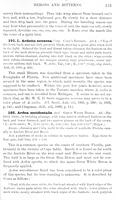 ilives:147526-00164-p_132.jpg