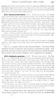 ilives:147526-00182-p_146.jpg