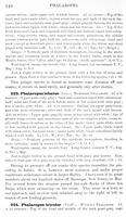 ilives:147526-00185-p_149.jpg