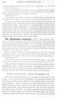 ilives:147526-00187-p_151.jpg