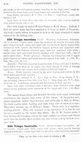ilives:147526-00197-p_159.jpg