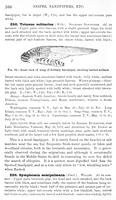 ilives:147526-00205-p_167.jpg
