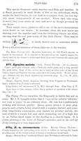 ilives:147526-00216-p_176.jpg