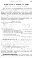ilives:147526-00230-p_188.jpg