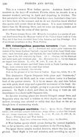ilives:147526-00233-p_191.jpg